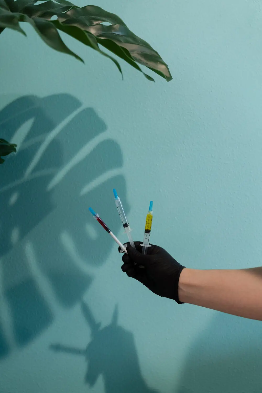 PRF biologic preparation syringes at REVIVE Roseburg